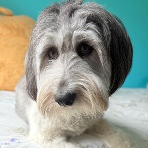 Meet your Posher, Jul